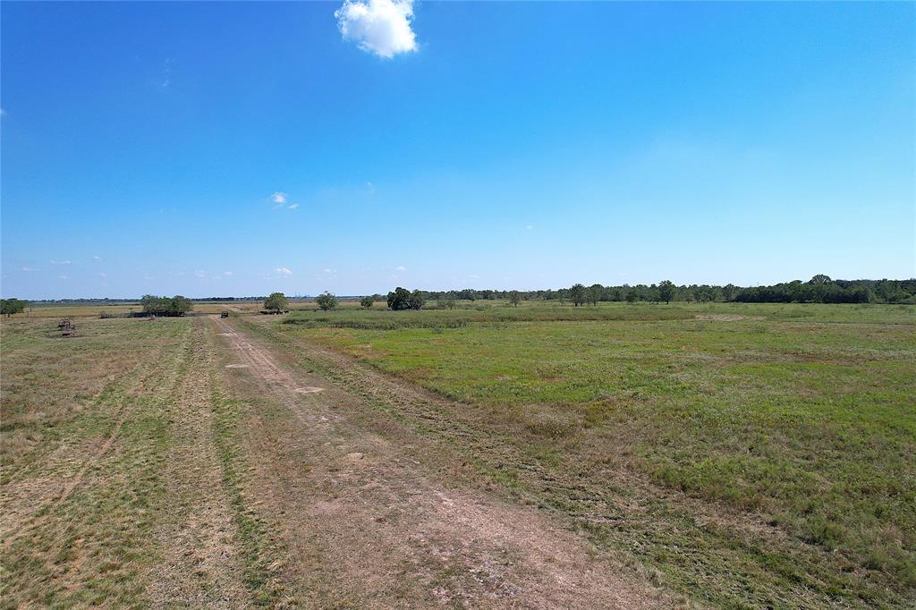 12239 Padon Road, Needville, Texas image 3