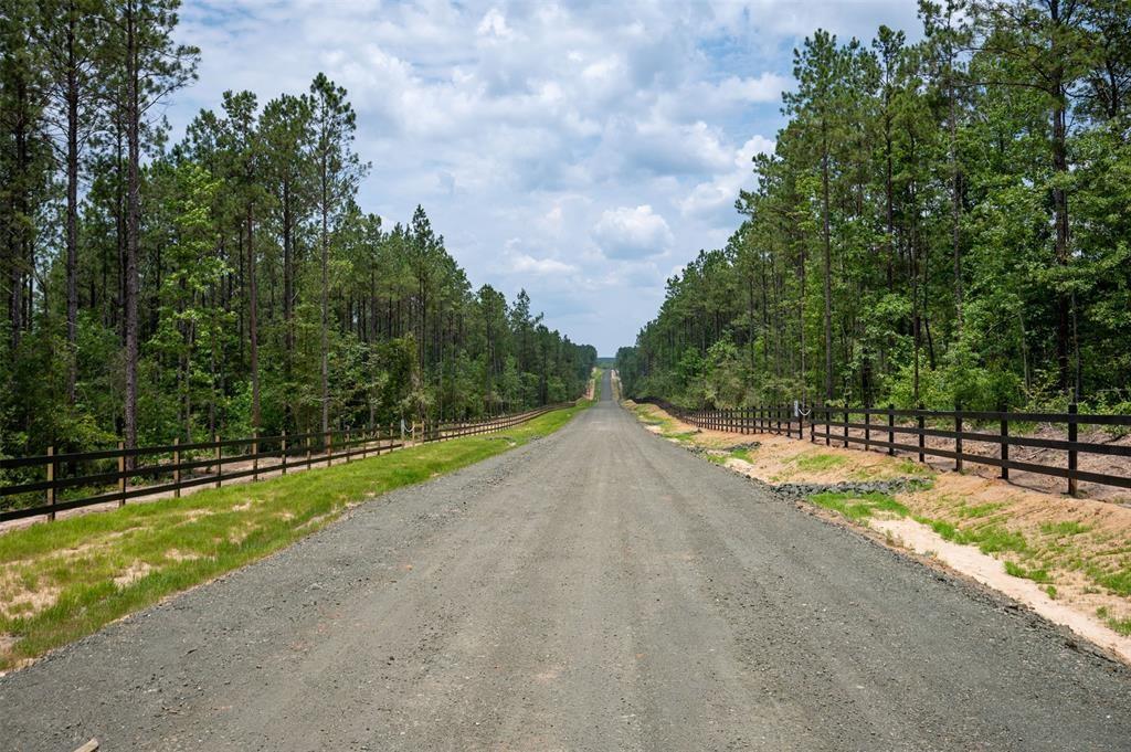 Tract 9 Timberland Branch Drive, Woodville, Texas image 4