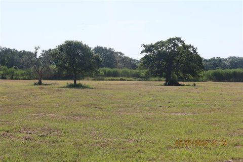 Photo of 1046 Railhead Road, Columbus, TX 78934 (MLS # 39282569)