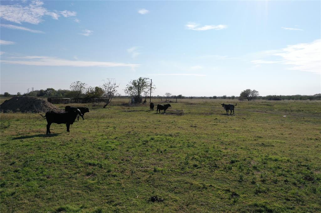 TBD Jackson Rd, Bellville, Texas image 9