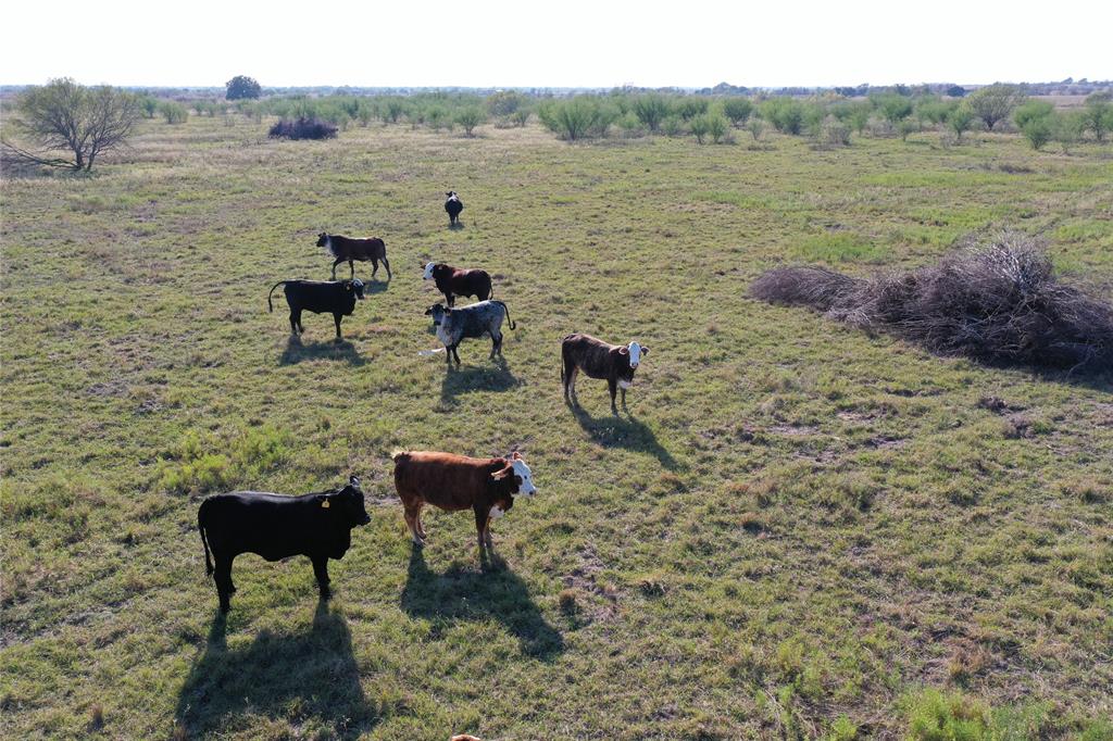 TBD Jackson Rd, Bellville, Texas image 11