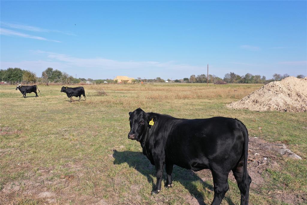 TBD Jackson Rd, Bellville, Texas image 10