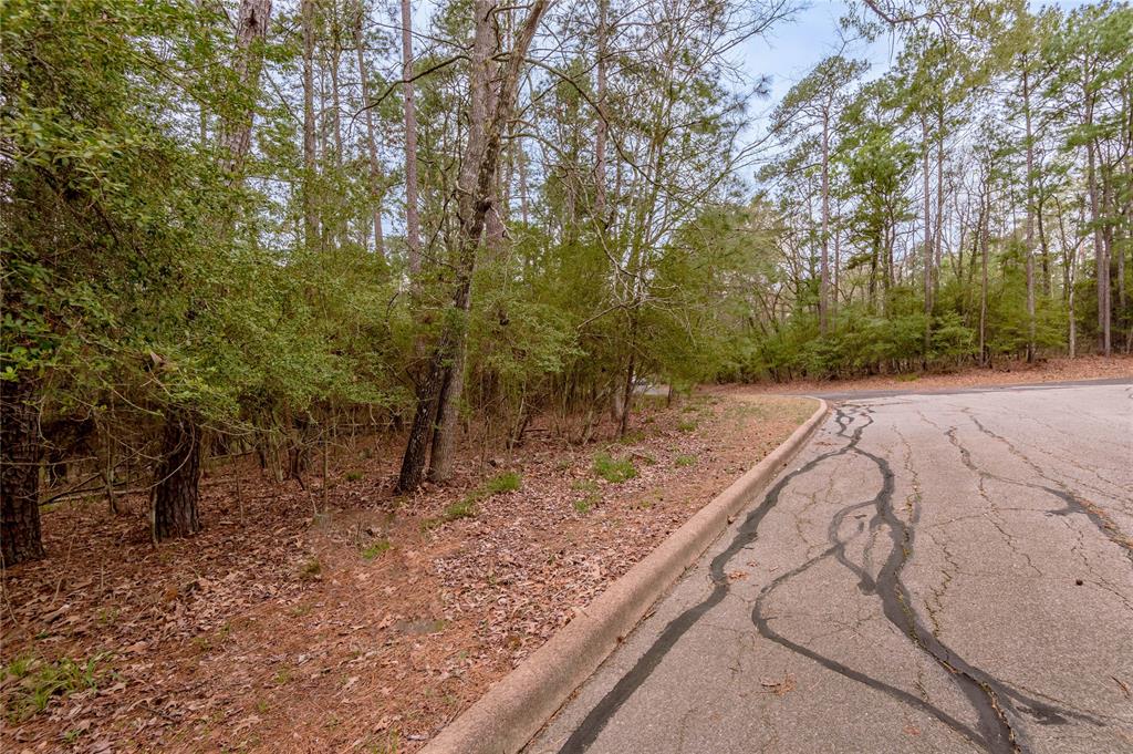 Lot 3 Poland Springs Court, Huntsville, Texas image 4