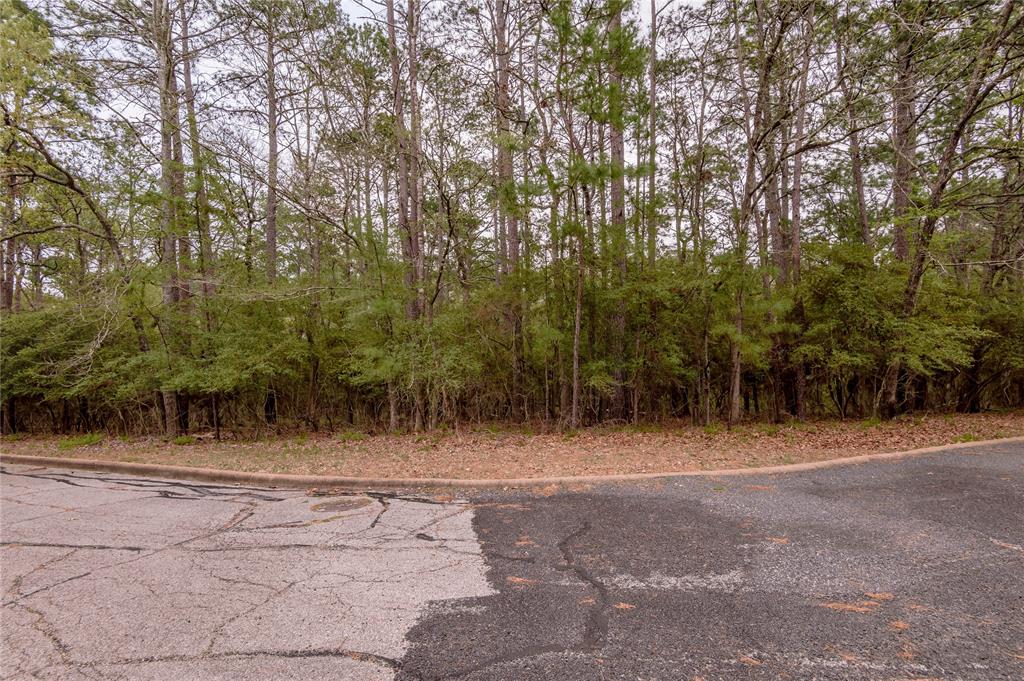 Lot 3 Poland Springs Court, Huntsville, Texas image 7