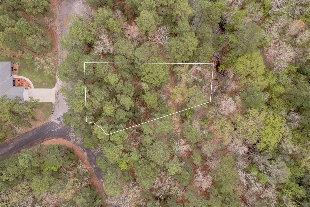 Lot 3 Poland Springs Court, Huntsville, Texas image 1