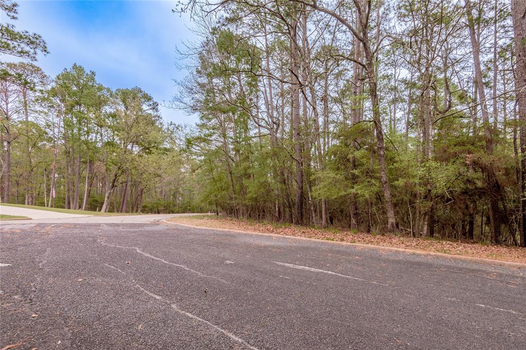 Lot 3 Poland Springs Court, Huntsville, Texas image 3