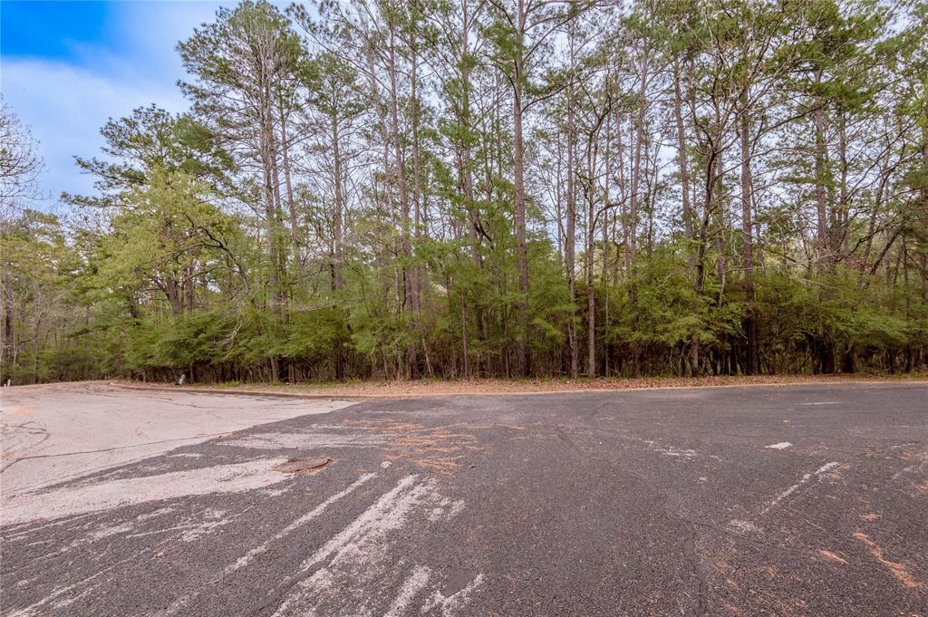 Lot 3 Poland Springs Court, Huntsville, Texas image 6