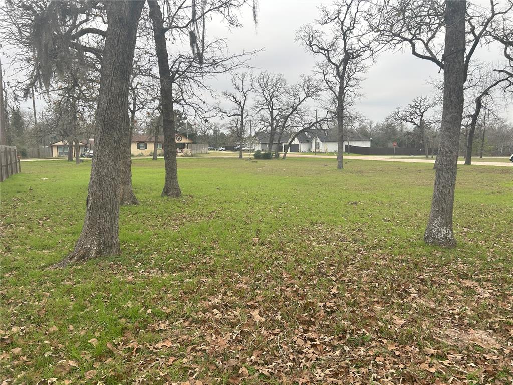 26149 Deerwood Drive, Hempstead, Texas image 18