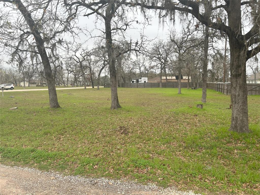 26149 Deerwood Drive, Hempstead, Texas image 17