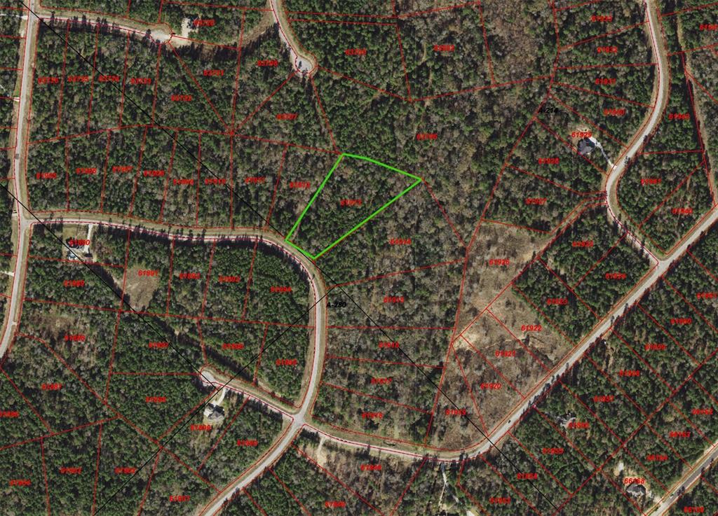 000-000 Hereford Trail, Huntsville, Texas image 1