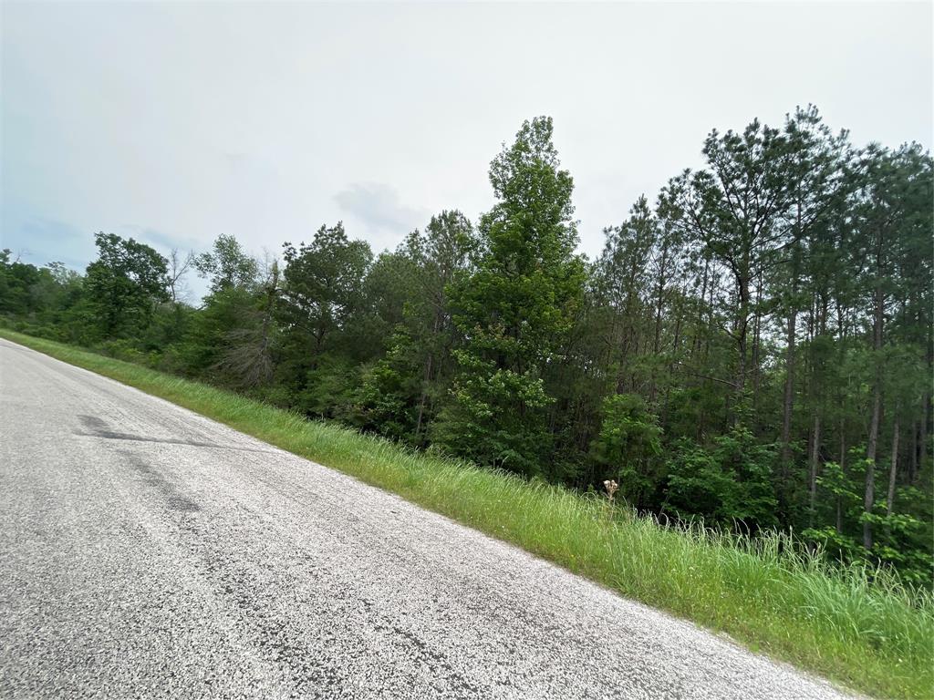 000-000 Hereford Trail, Huntsville, Texas image 6
