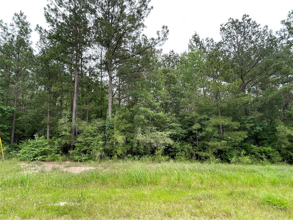 000-000 Hereford Trail, Huntsville, Texas image 2
