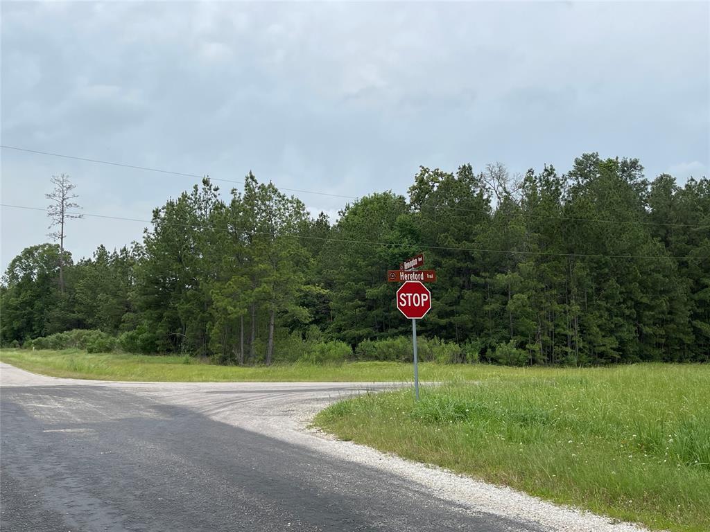 000-000 Hereford Trail, Huntsville, Texas image 4