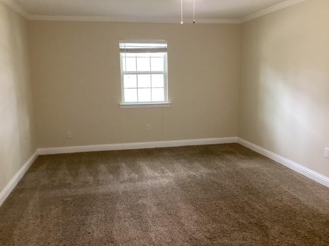 15311 Empanada Drive, Houston, Texas image 20