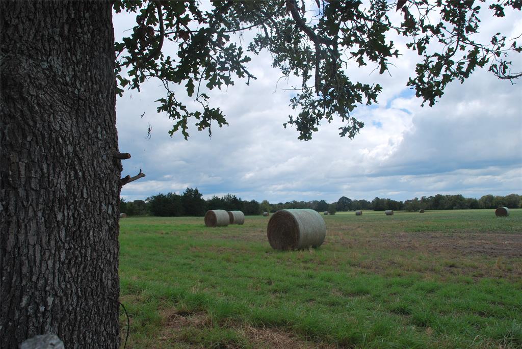 400 W Parker Road, Flatonia, Texas image 17