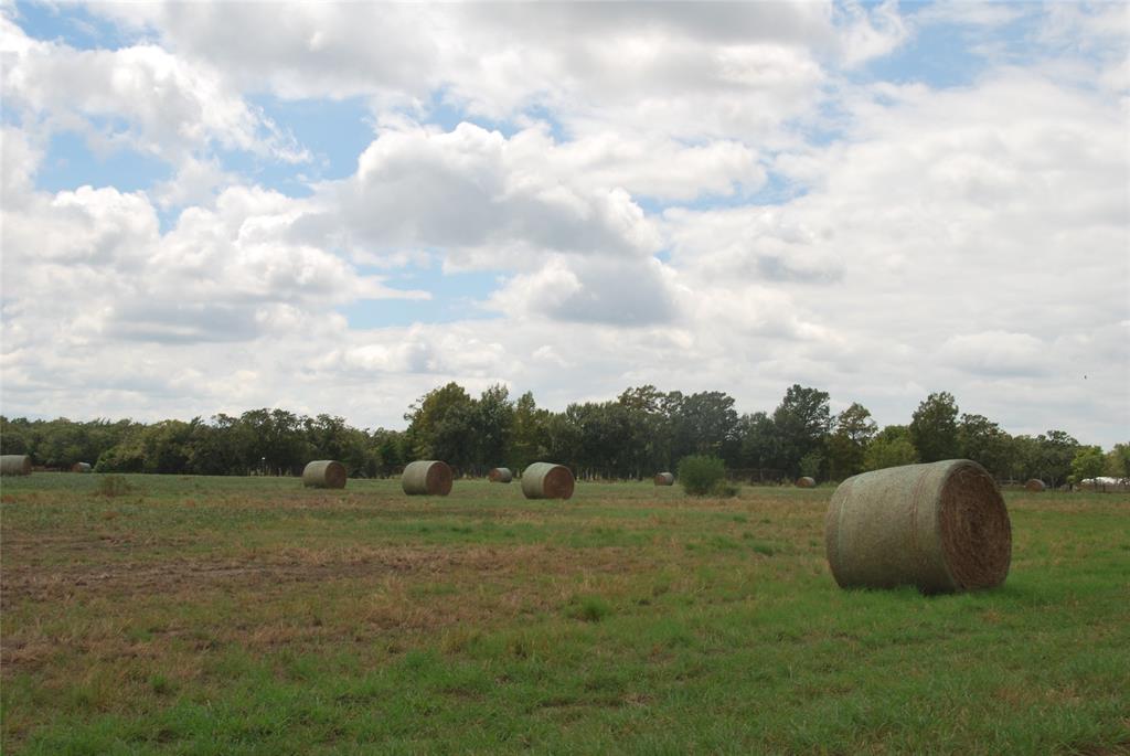 400 W Parker Road, Flatonia, Texas image 15