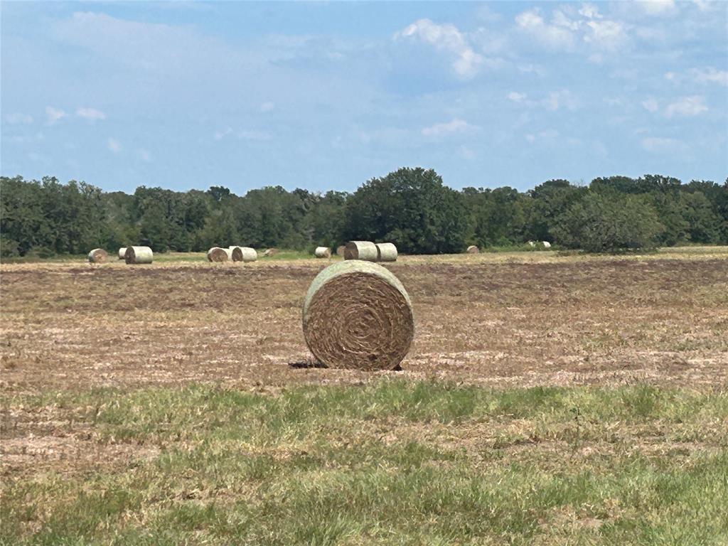 400 W Parker Road, Flatonia, Texas image 18