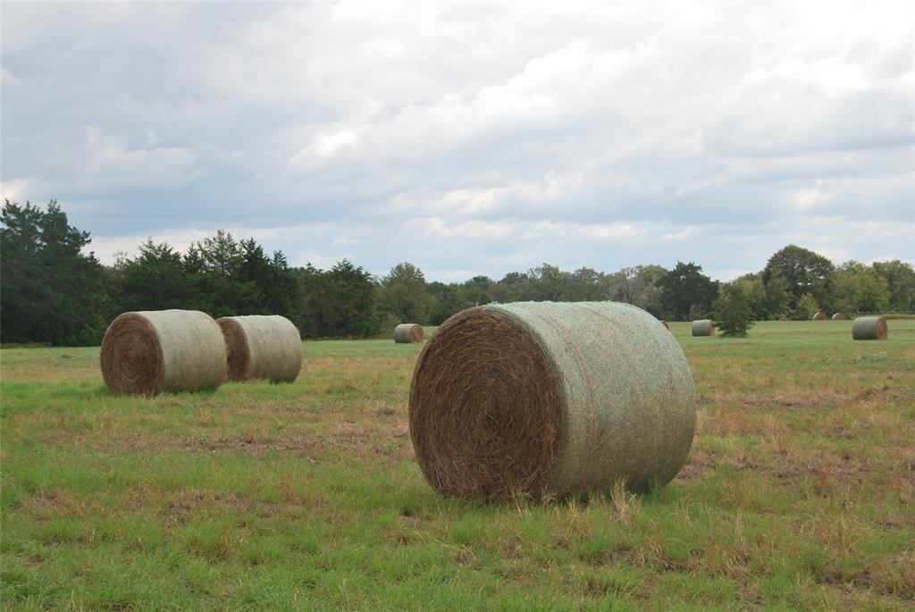 400 W Parker Road, Flatonia, Texas image 14