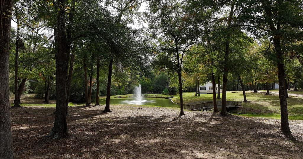 18193 Rabon Chapel Road, Montgomery, Texas image 32