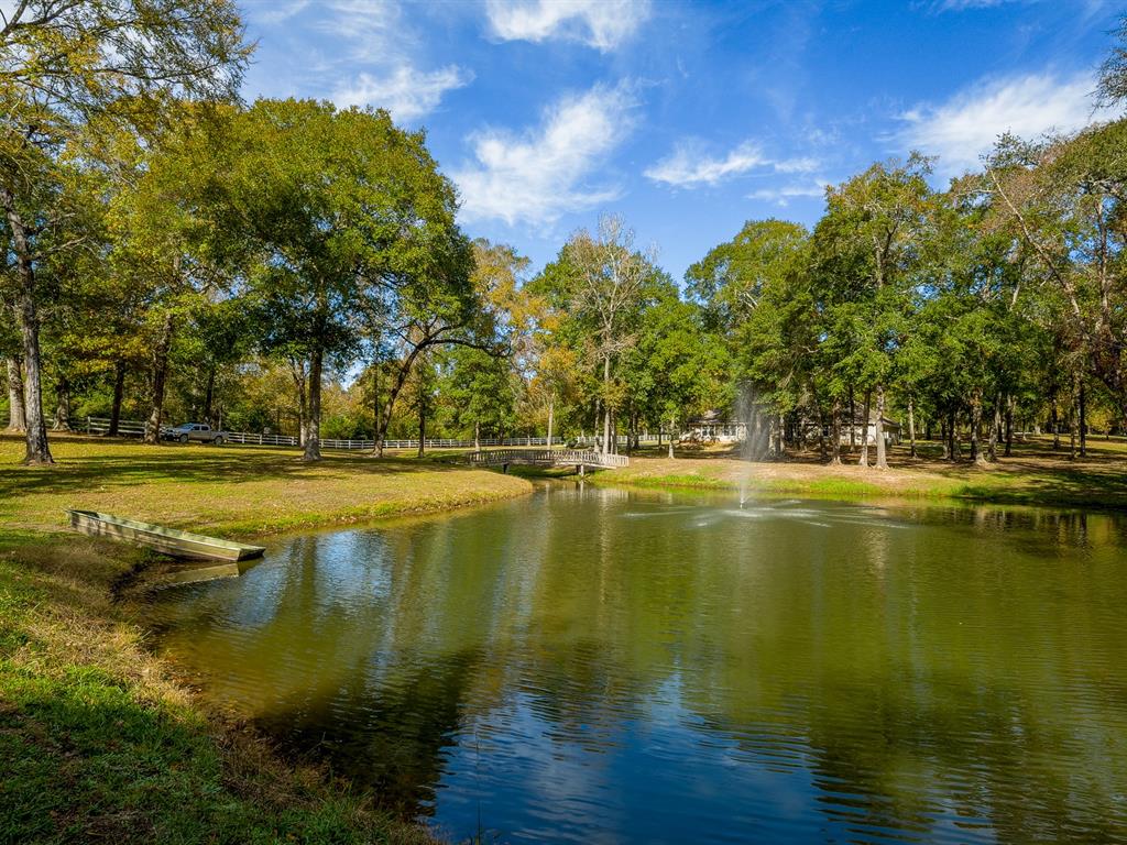 18193 Rabon Chapel Road, Montgomery, Texas image 33