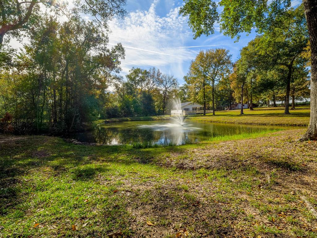 18193 Rabon Chapel Road, Montgomery, Texas image 31