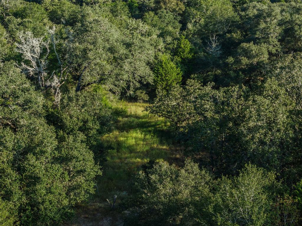 00 Red Oak Court, Weimar, Texas image 15