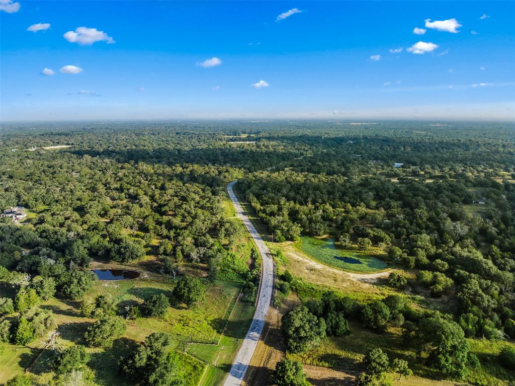 00 Red Oak Court, Weimar, Texas image 17