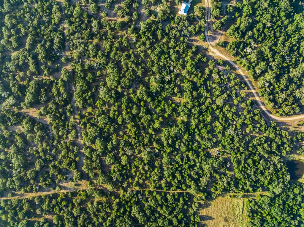 00 Red Oak Court, Weimar, Texas image 4