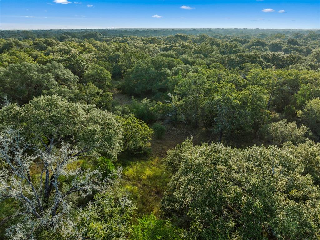 00 Red Oak Court, Weimar, Texas image 16