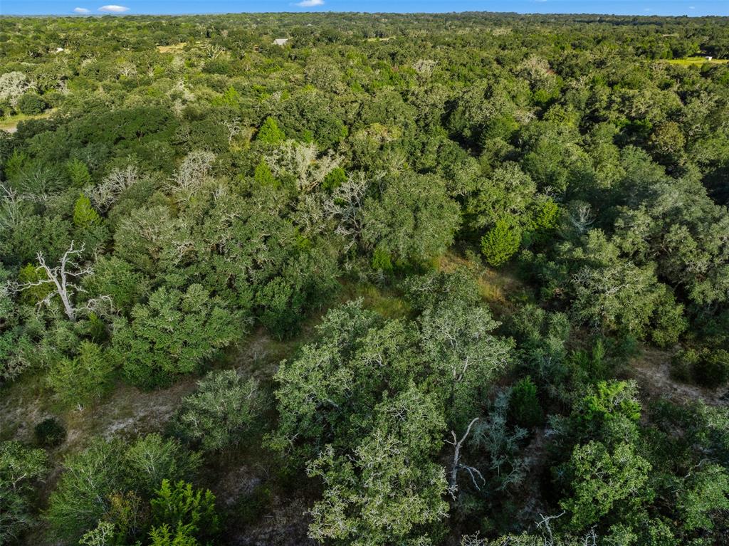 00 Red Oak Court, Weimar, Texas image 21