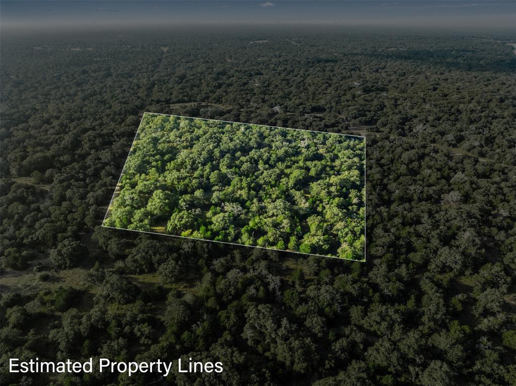 00 Red Oak Court, Weimar, Texas image 8