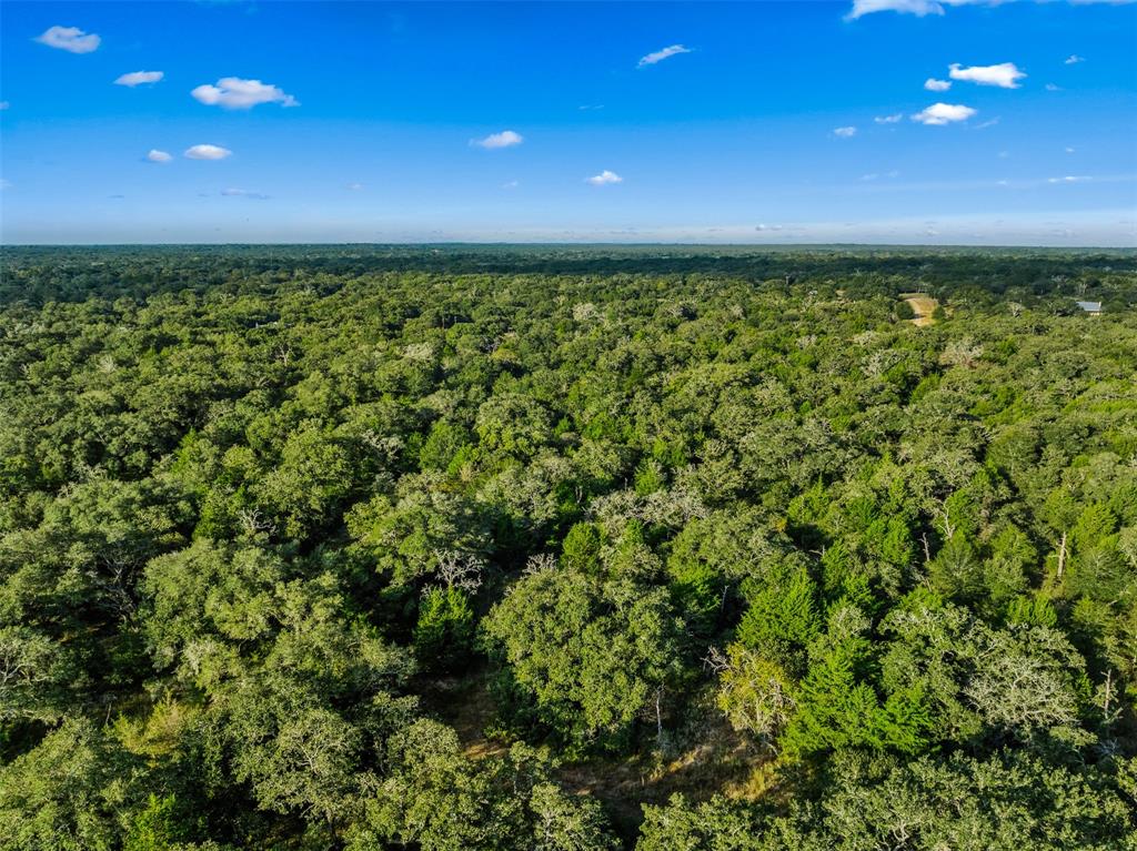 00 Red Oak Court, Weimar, Texas image 12