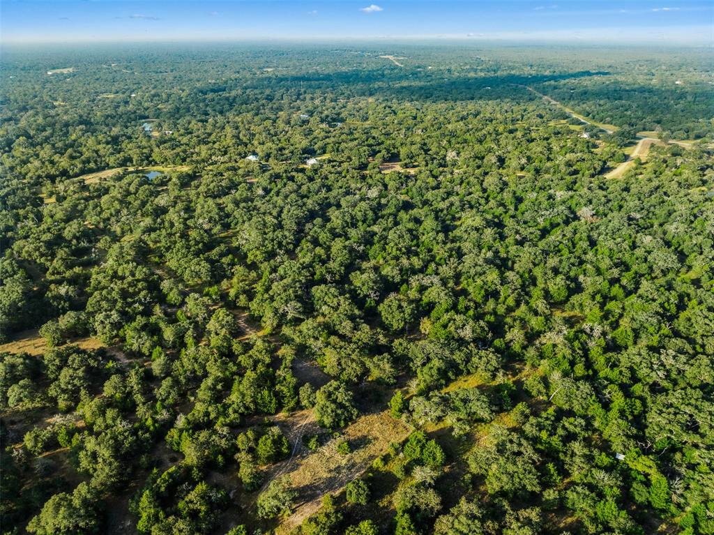 00 Red Oak Court, Weimar, Texas image 11