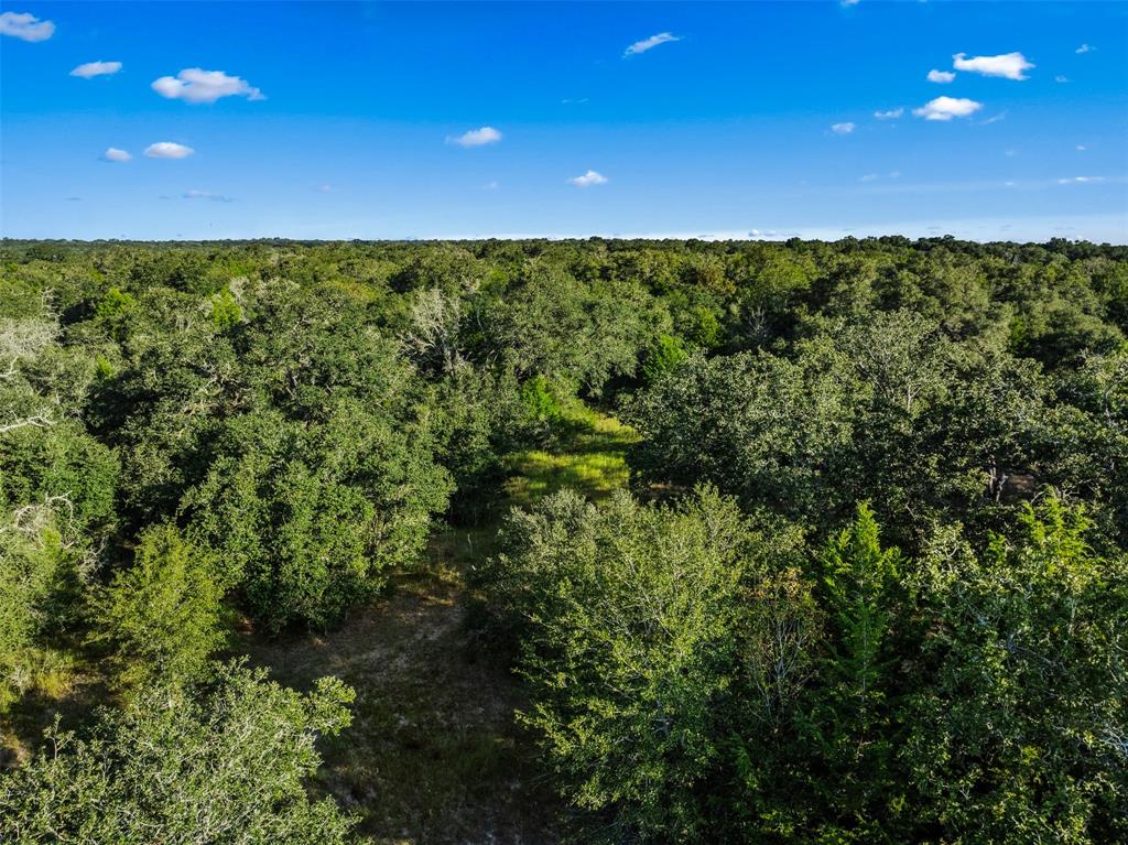 00 Red Oak Court, Weimar, Texas image 20