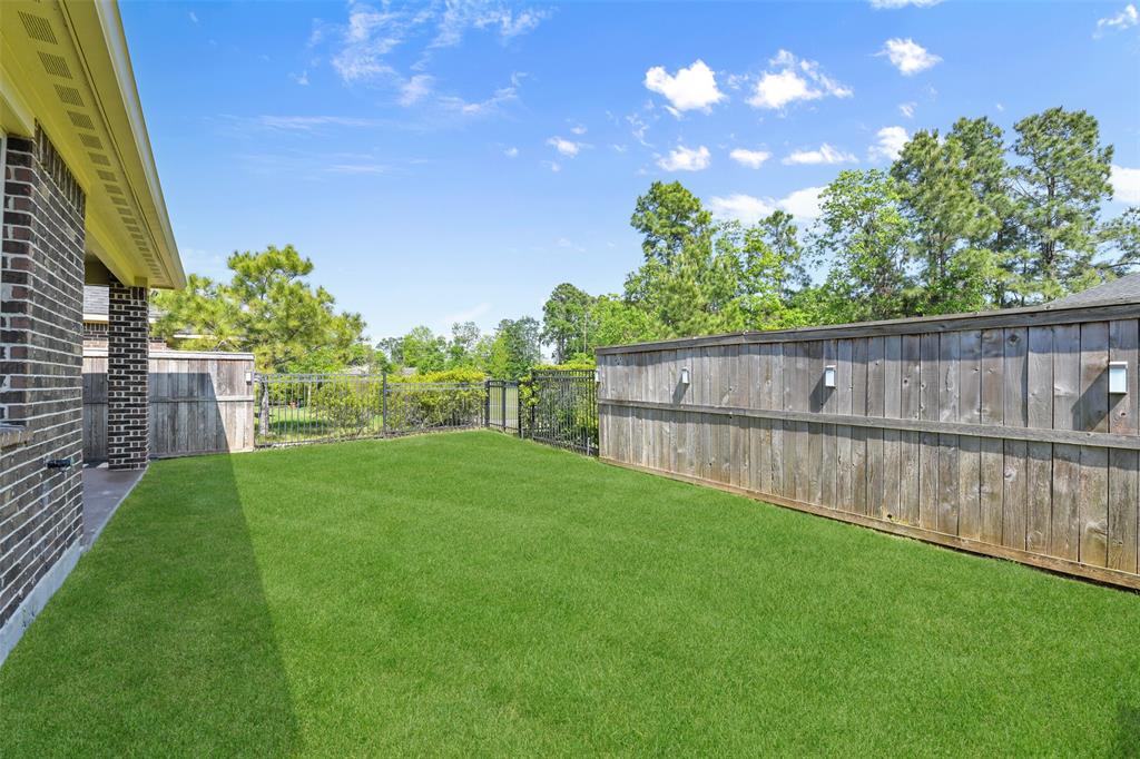 16833 Pink Wintergreen Drive, Conroe, Texas image 24