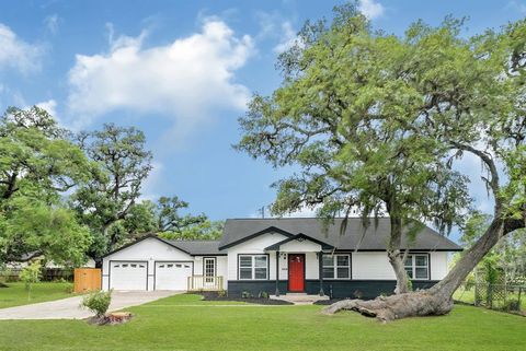 Photo of 549 E New York Street, Brazoria, TX 77422 (MLS # 48235806)
