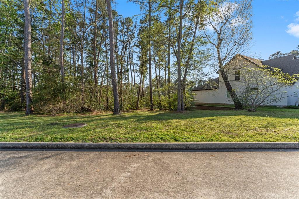 116 Pine Hill Lane, Montgomery, Texas image 5