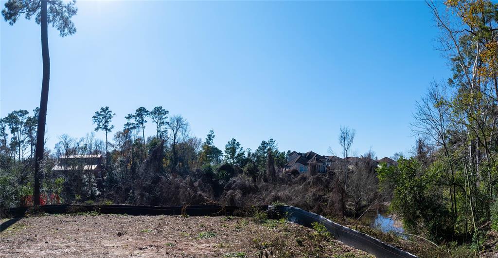 29203 Fm 2100 Road, Huffman, Texas image 10