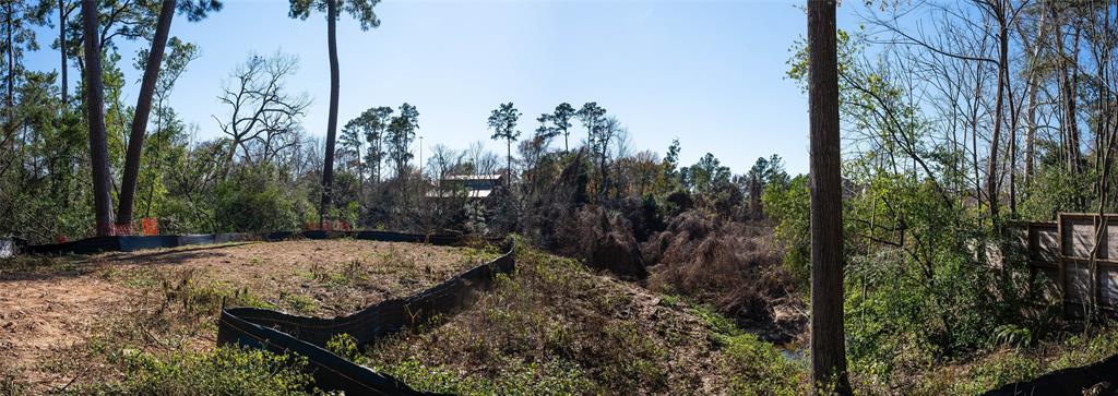 29203 Fm 2100 Road, Huffman, Texas image 8