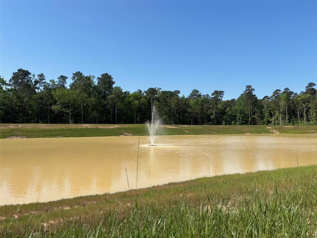 228 Hidden Oak Drive, Hockley, Texas image 2