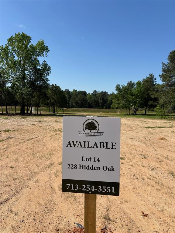 228 Hidden Oak Drive, Hockley, Texas image 5