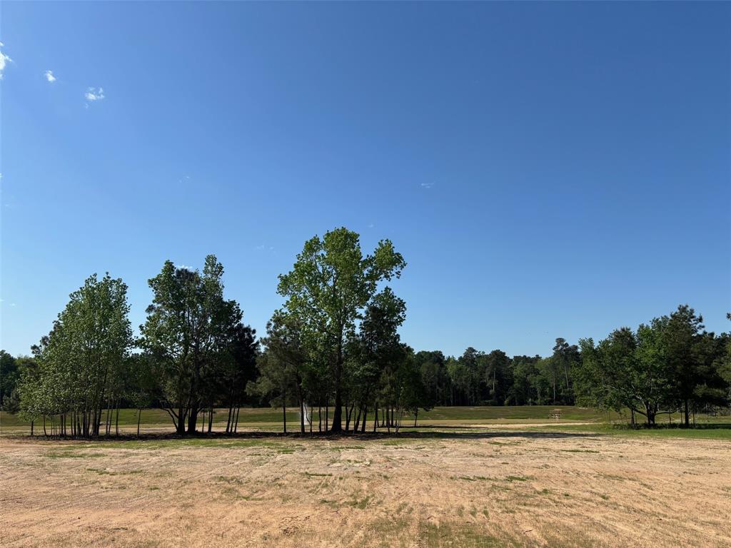 228 Hidden Oak Drive, Hockley, Texas image 3