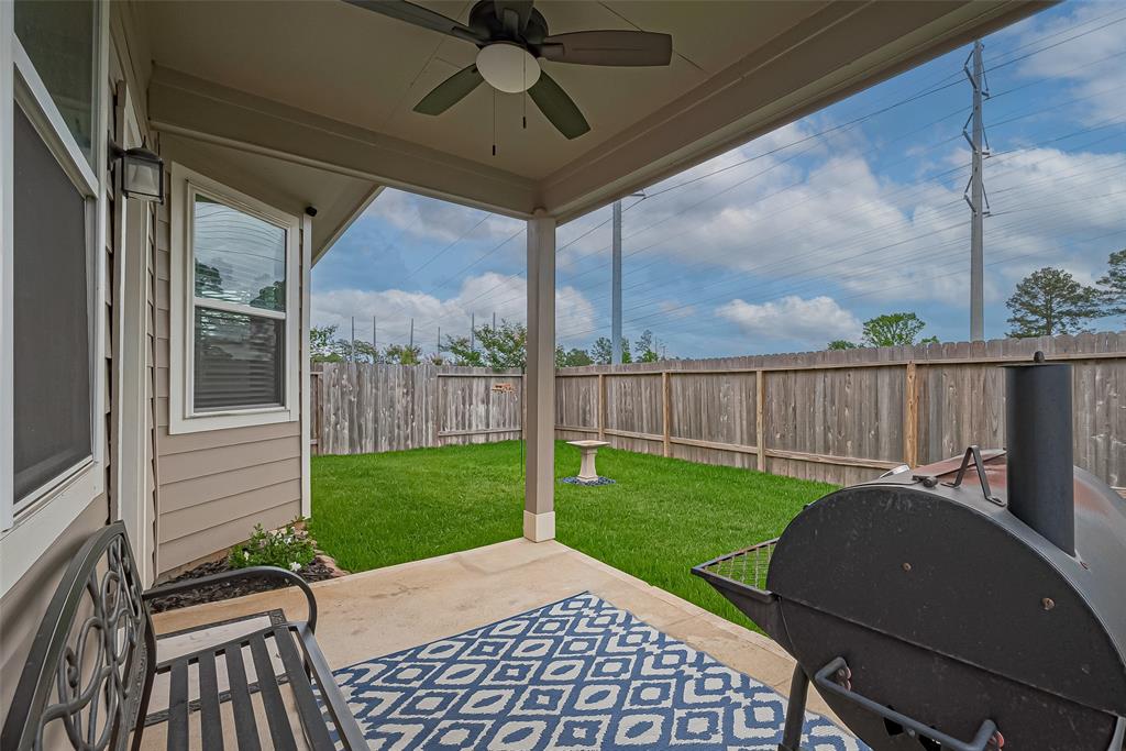 13406 Cannon Creek Court, Willis, Texas image 36