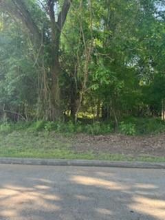3814 Treasure Island Dr, Montgomery, Texas image 3