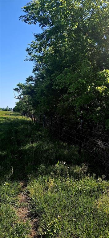 3448 Belton Lane, Anahuac, Texas image 10