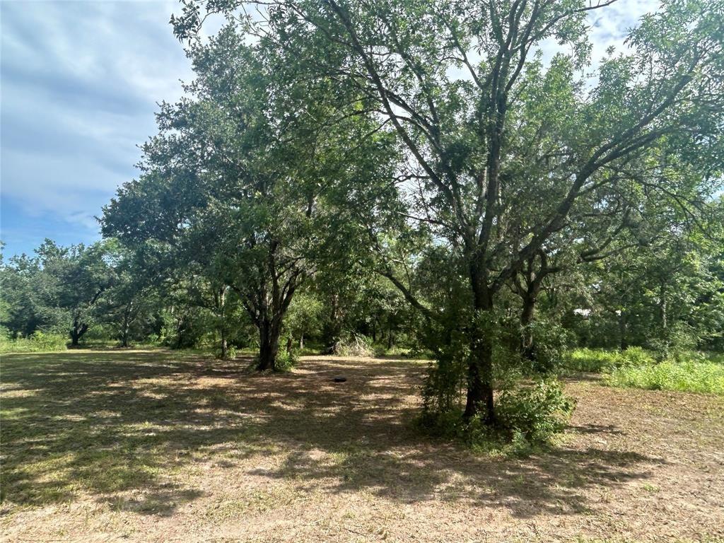 5135 County Road 288