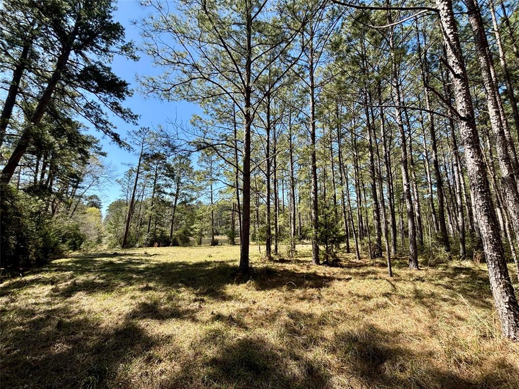 TBD County Road 2780, Colmesneil, Texas image 36