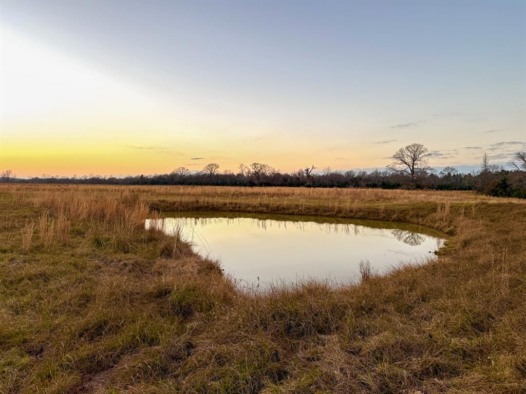 10339 Fm 3178, Oakwood, Texas image 38