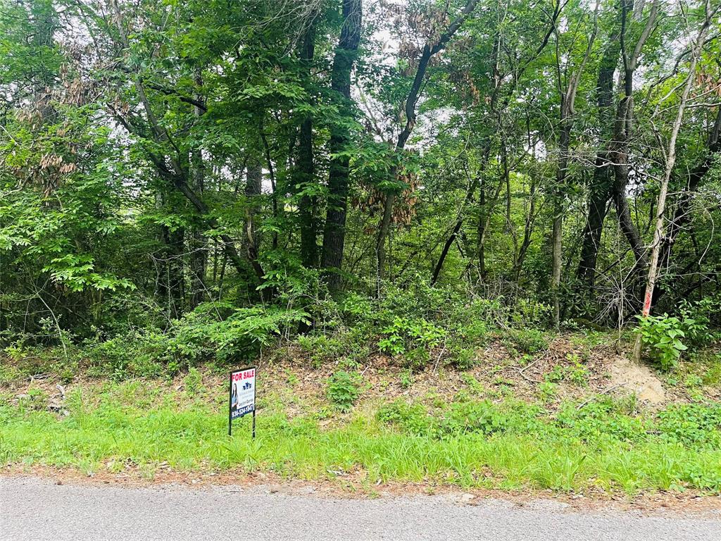 Lot 565 Royal Creek Road, Conroe, Texas image 2