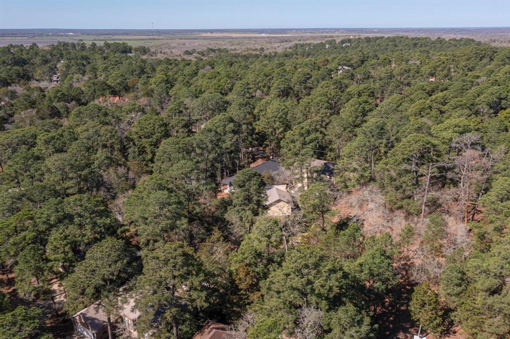 117 Keaau Court, Bastrop, Texas image 39